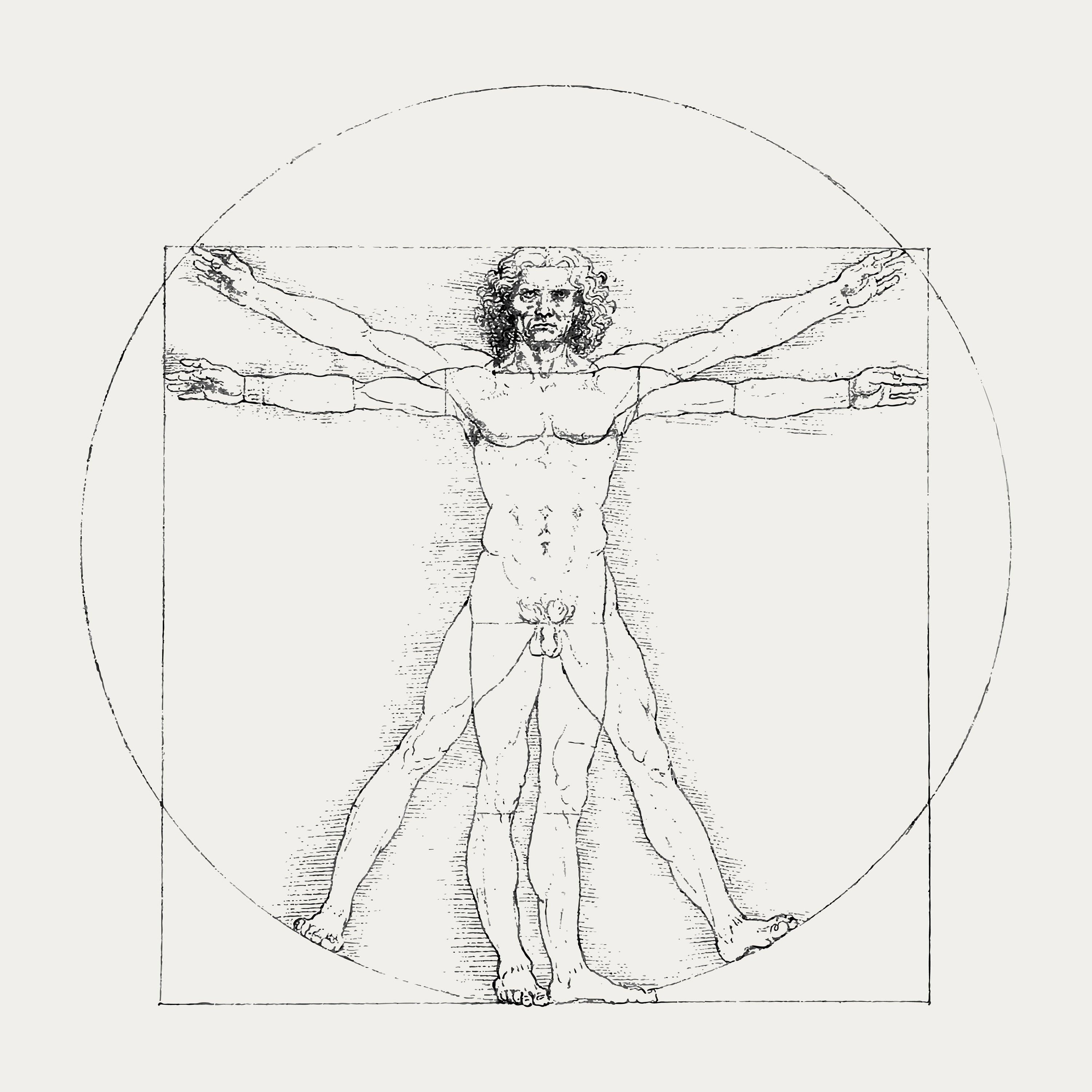 Anatomie des Menschen: Wenn Medizin zur Kunst wird - Animus Medicus GmbH