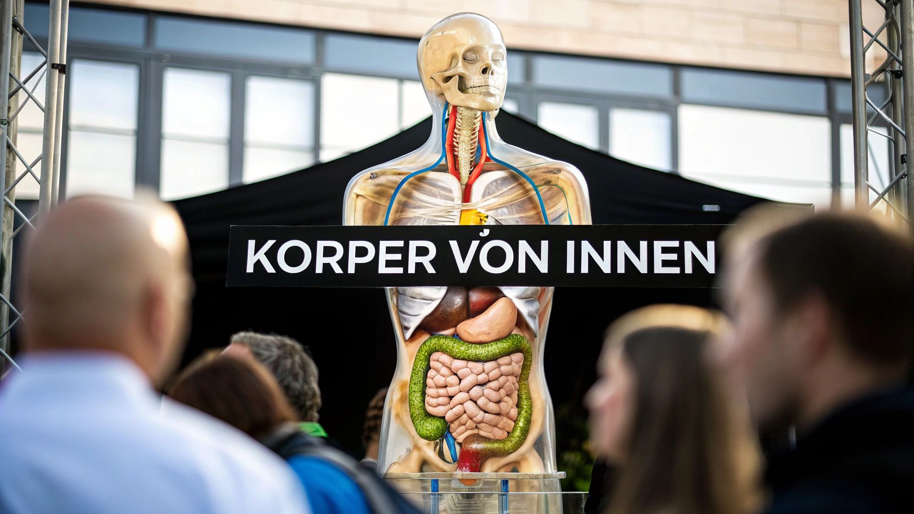 Menschlicher Körper von Innen: Faszinierende Einblicke