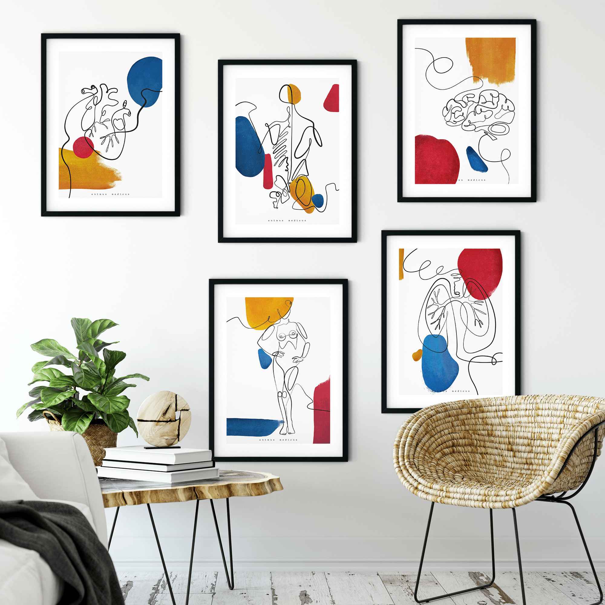 Abstrakte Anatomie - Animus Medicus GmbH