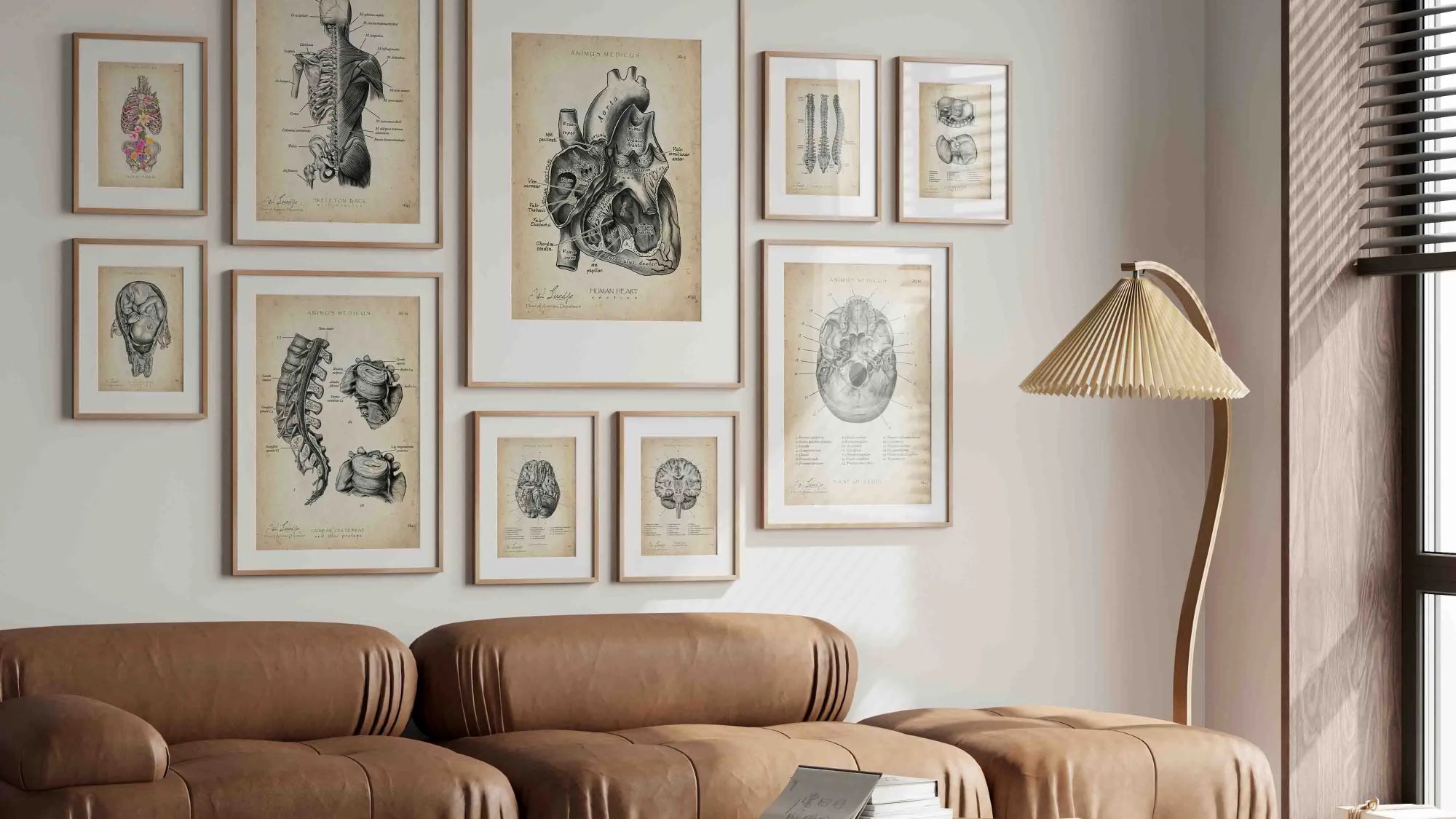 Restposten - Animus Medicus GmbH