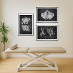 Becken Anatomie Sammlung - Chalkboard