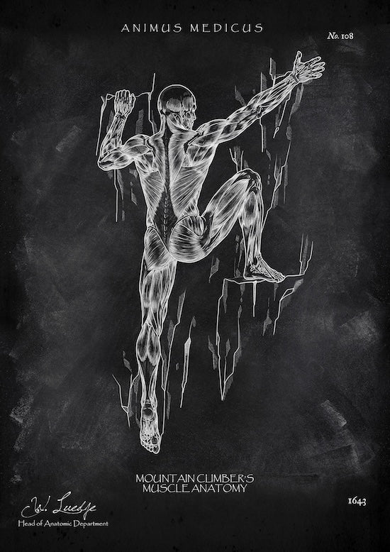 Kletterer Anatomie - Chalkboard