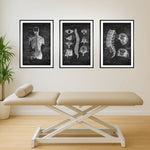 Rücken Anatomie Sammlung - Chalkboard