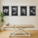 Schulter Anatomie Sammlung - Chalkboard