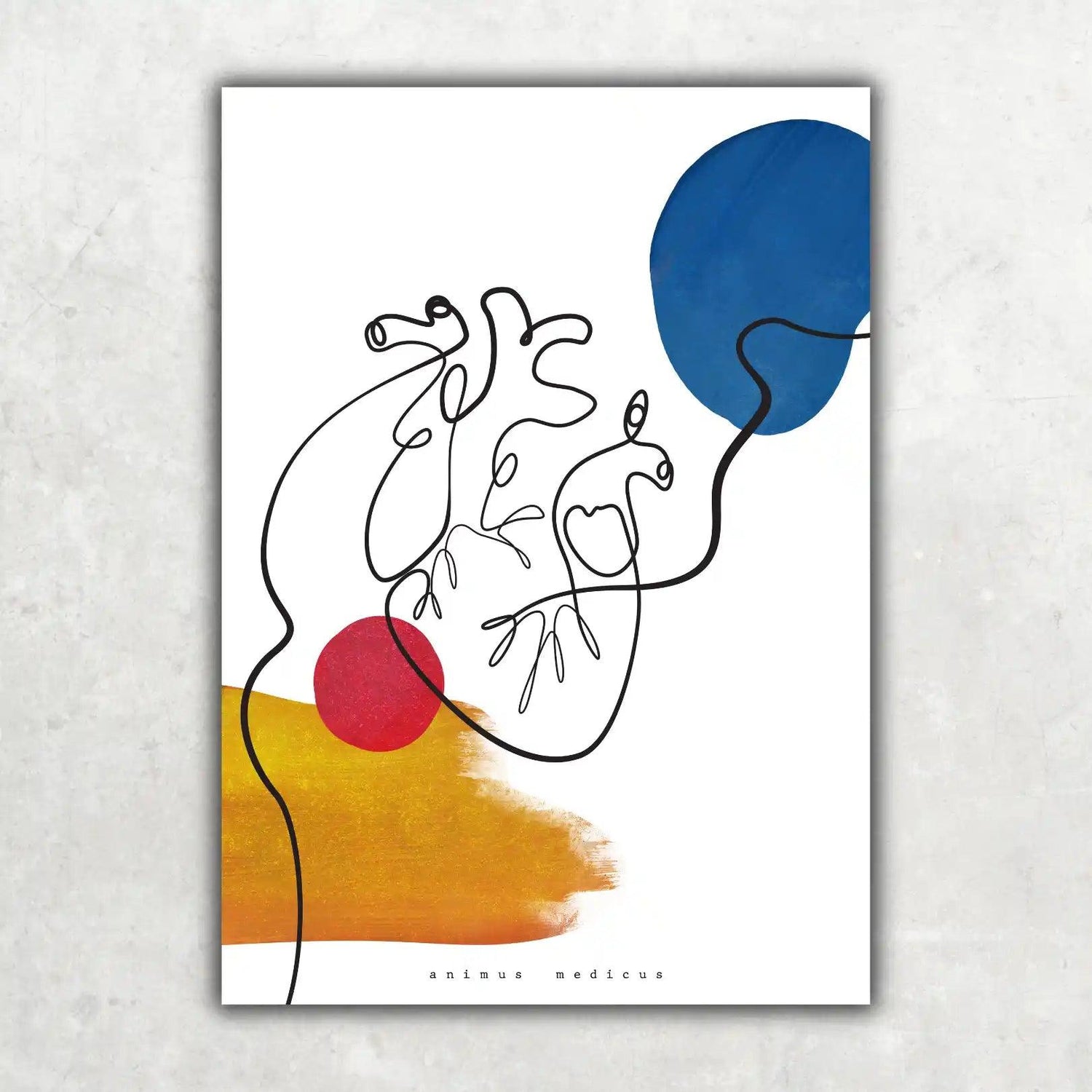 Abstrakte Anatomie - Sammlung - Animus Medicus GmbH