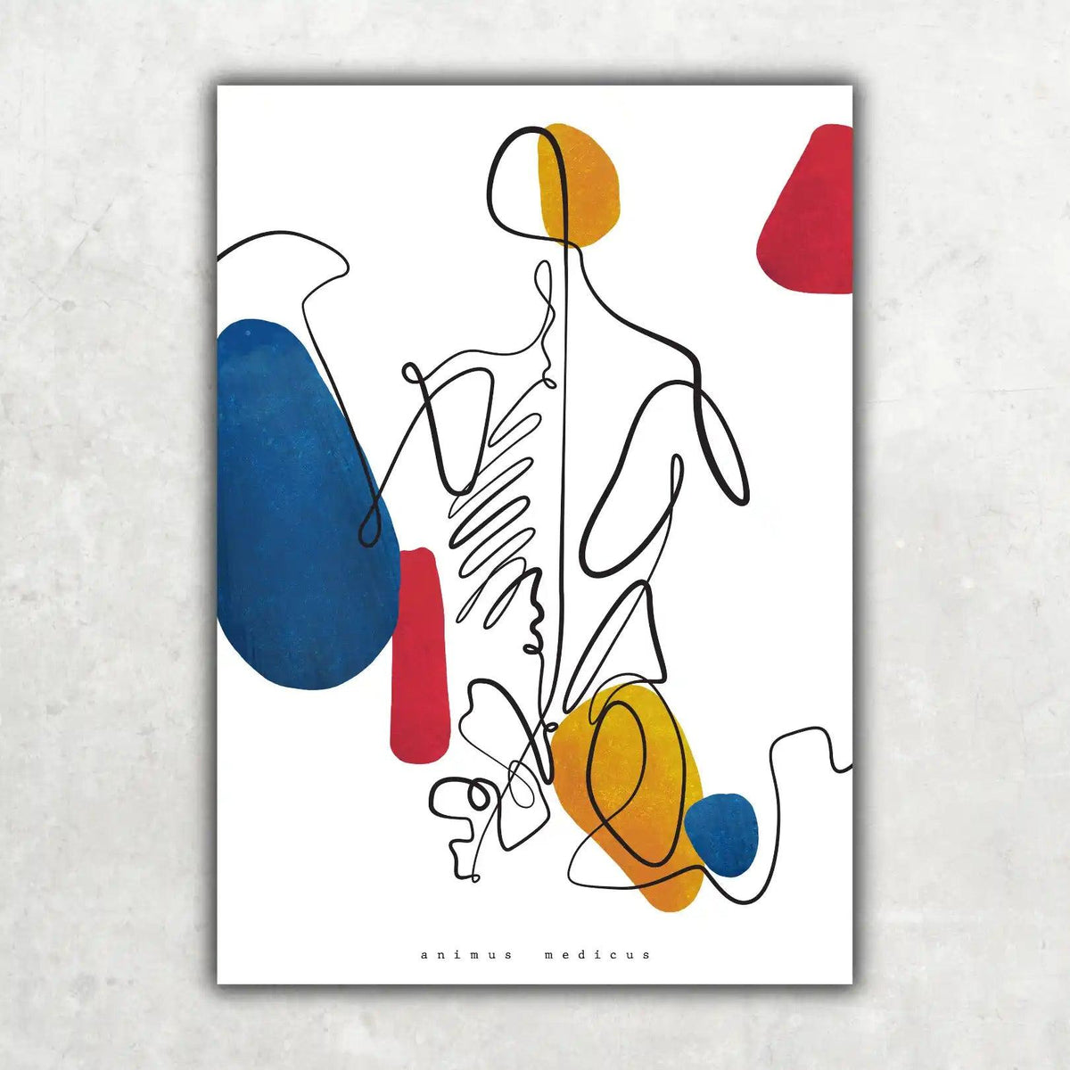 Abstrakte Anatomie - Sammlung - Animus Medicus GmbH