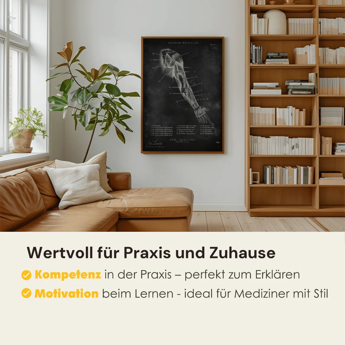 Arm Anatomie dorsal - Chalkboard - Animus Medicus GmbH