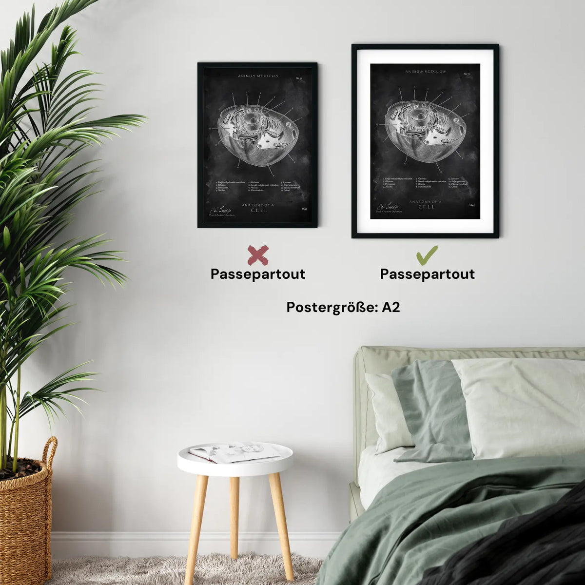 Aufbau menschliche Zelle - Chalkboard - Animus Medicus GmbH