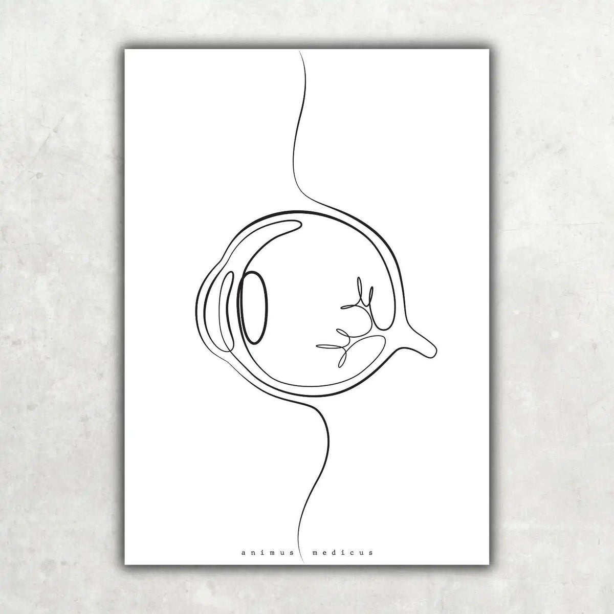 Augen Anatomie Minimalist - Animus Medicus GmbH