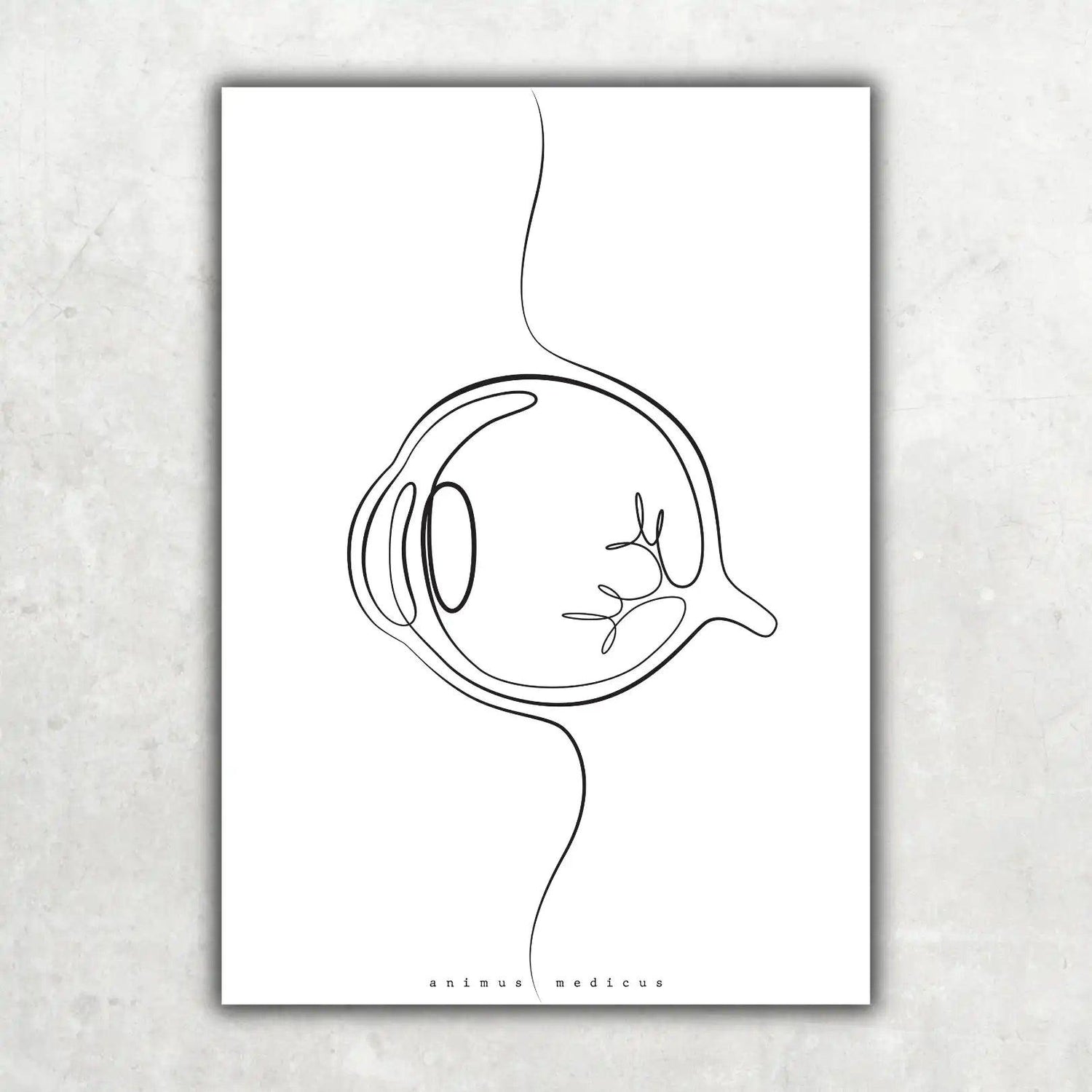 Augen Anatomie Minimalist - Animus Medicus GmbH