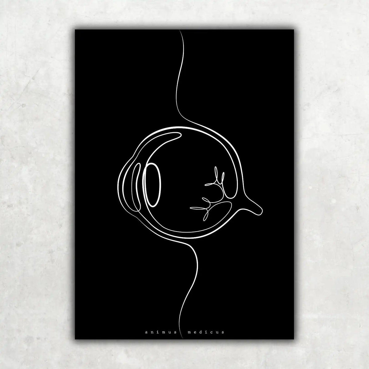 Augen Anatomie Minimalist Dark - Animus Medicus GmbH