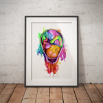 Baby Anatomie - Rainbow - Animus Medicus GmbH
