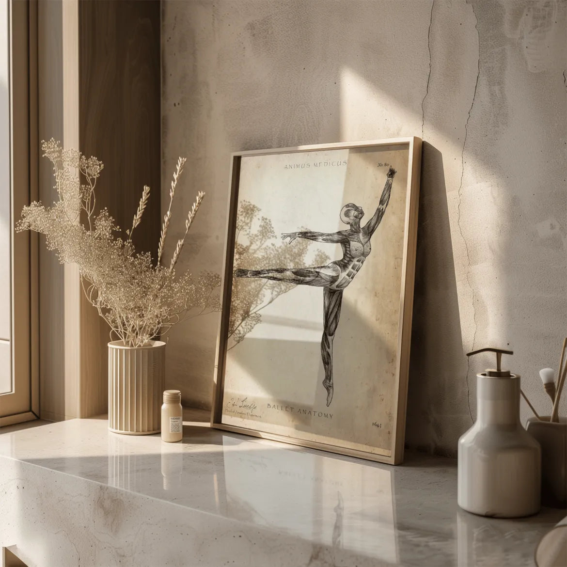 Ballett Anatomie Poster - Animus Medicus GmbH