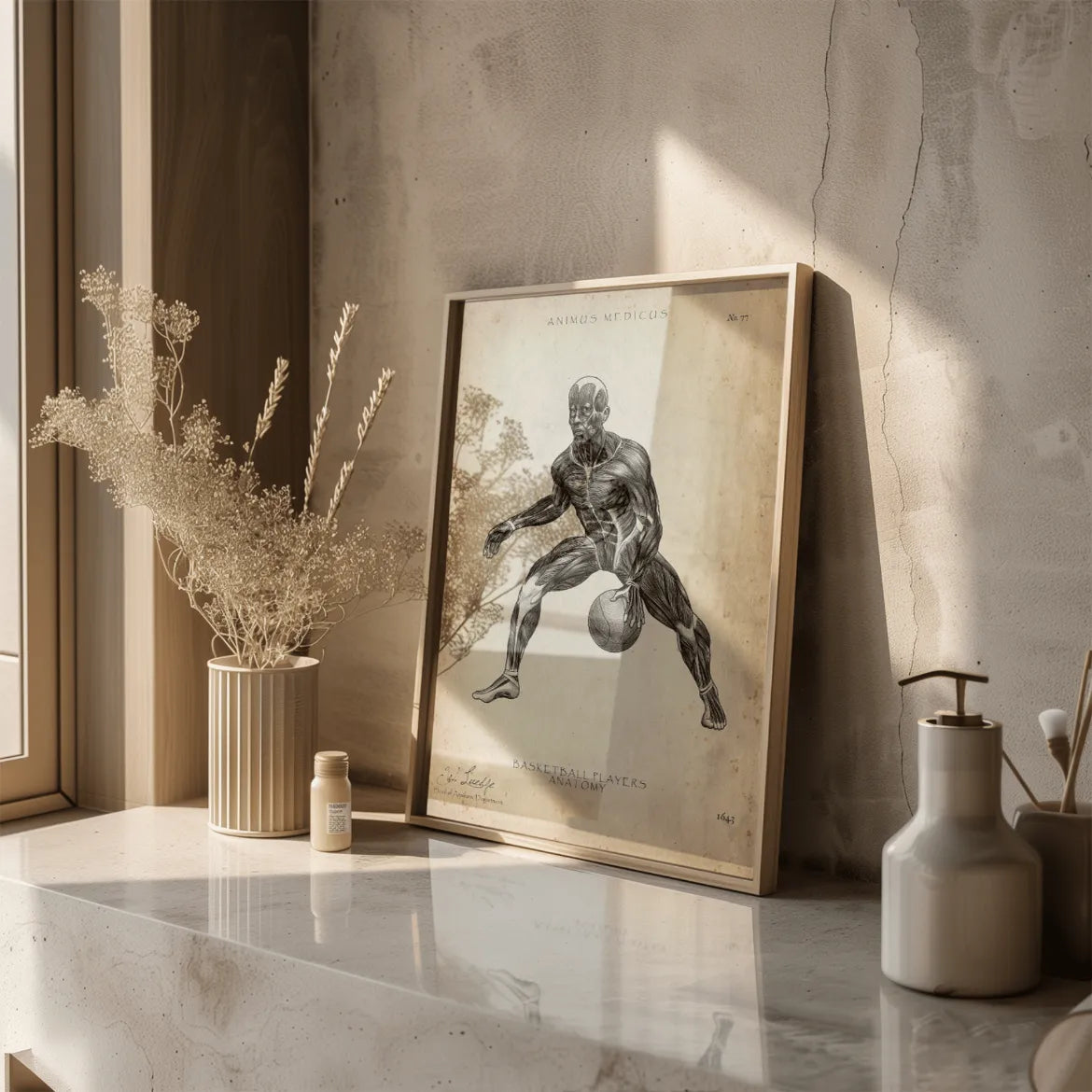 Basketball Anatomie Poster - Animus Medicus GmbH