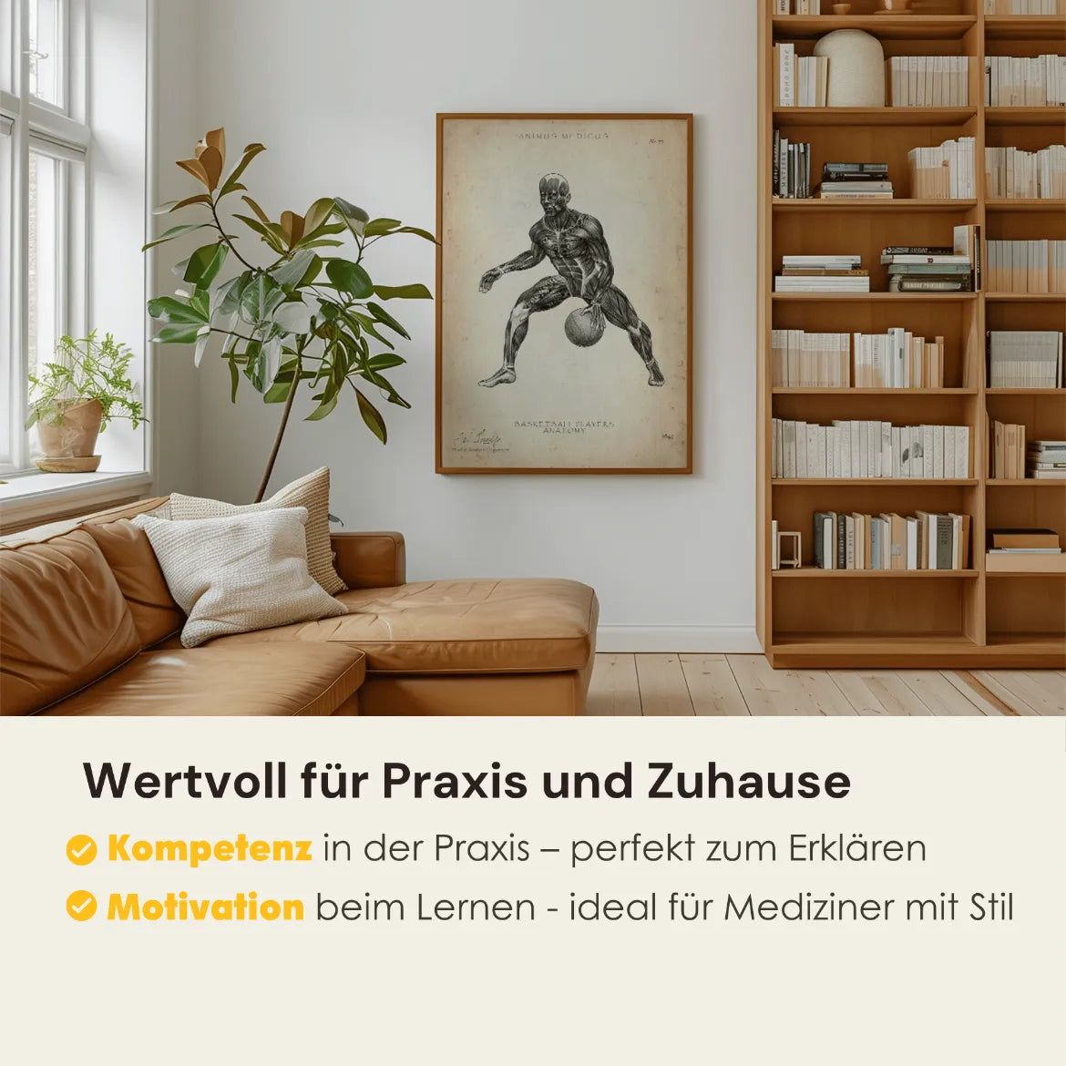 Basketball Anatomie Poster - Animus Medicus GmbH