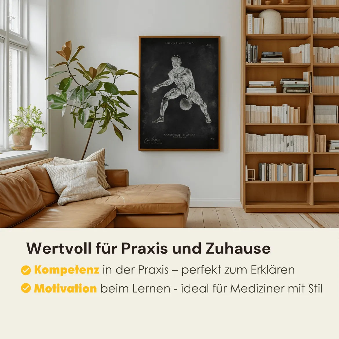 Basketball Anatomie Poster - Chalkboard - Animus Medicus GmbH