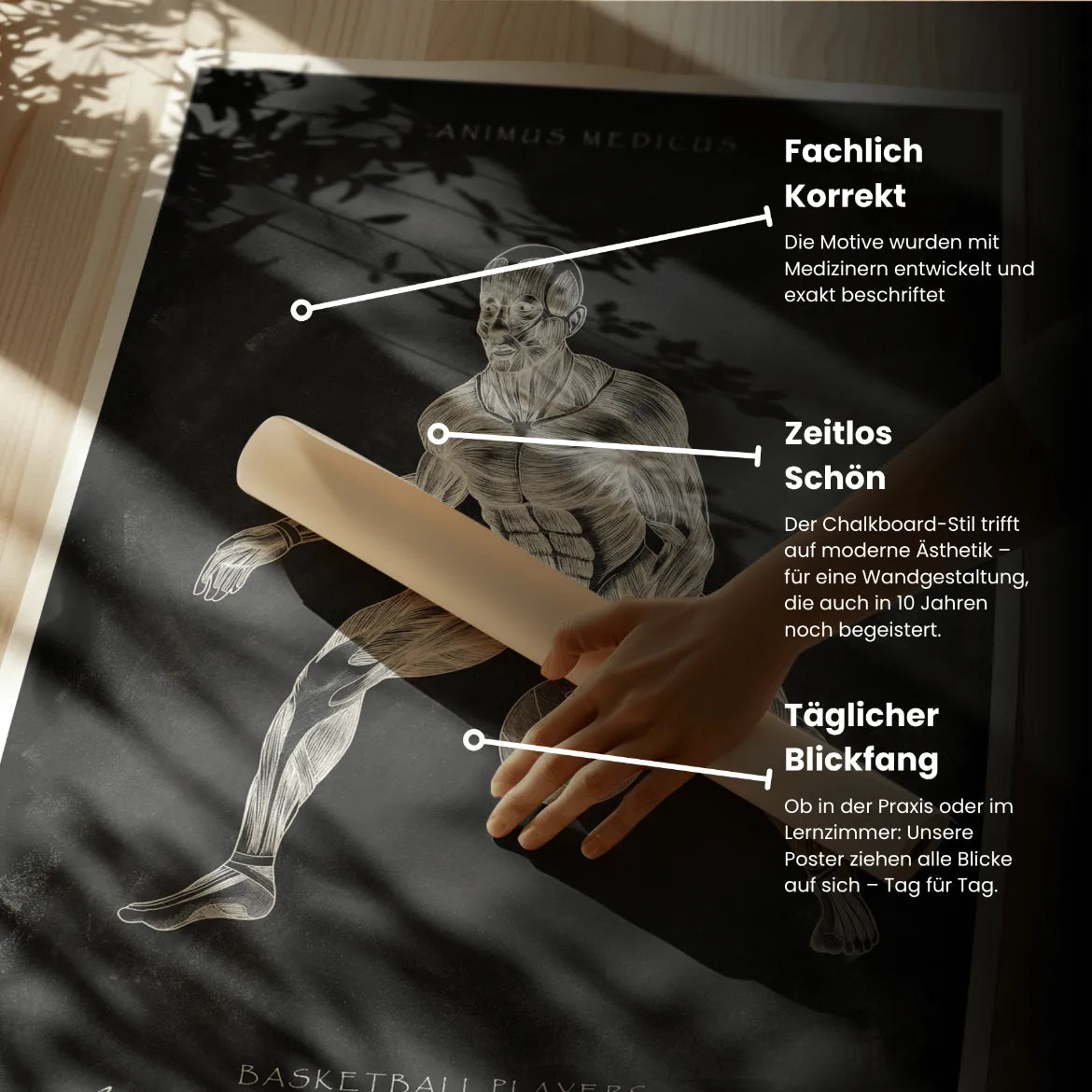 Basketball Anatomie Poster - Chalkboard - Animus Medicus GmbH