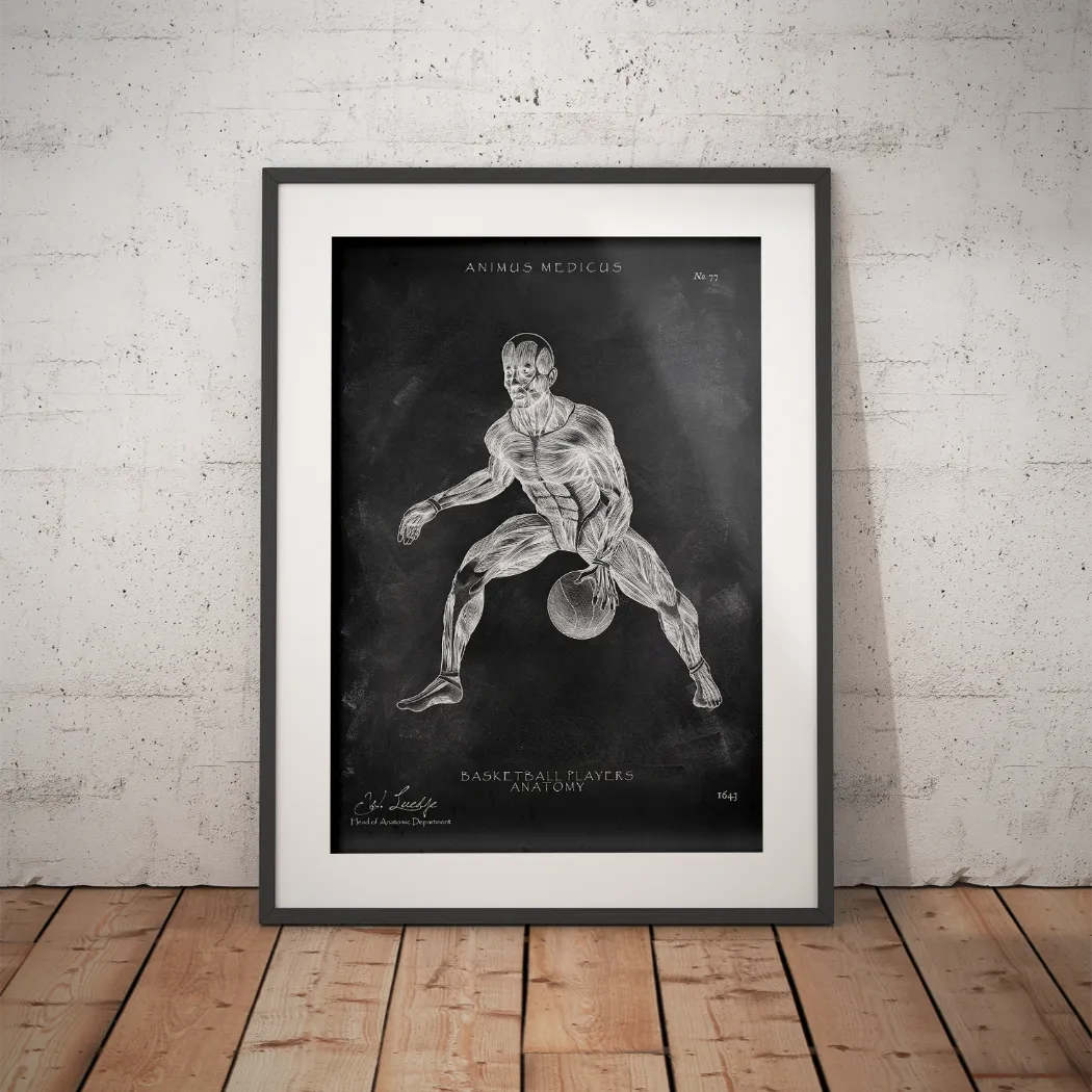 Basketball Anatomie Poster - Chalkboard - Animus Medicus GmbH