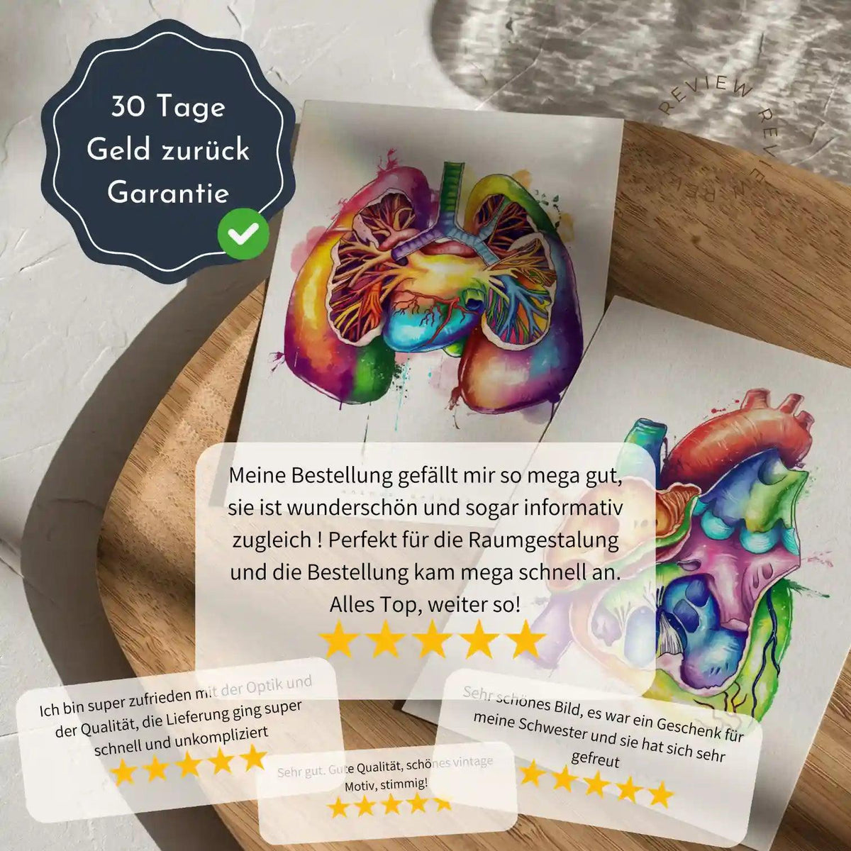 Becken Anatomie Sammlung - Chalkboard - Animus Medicus GmbH