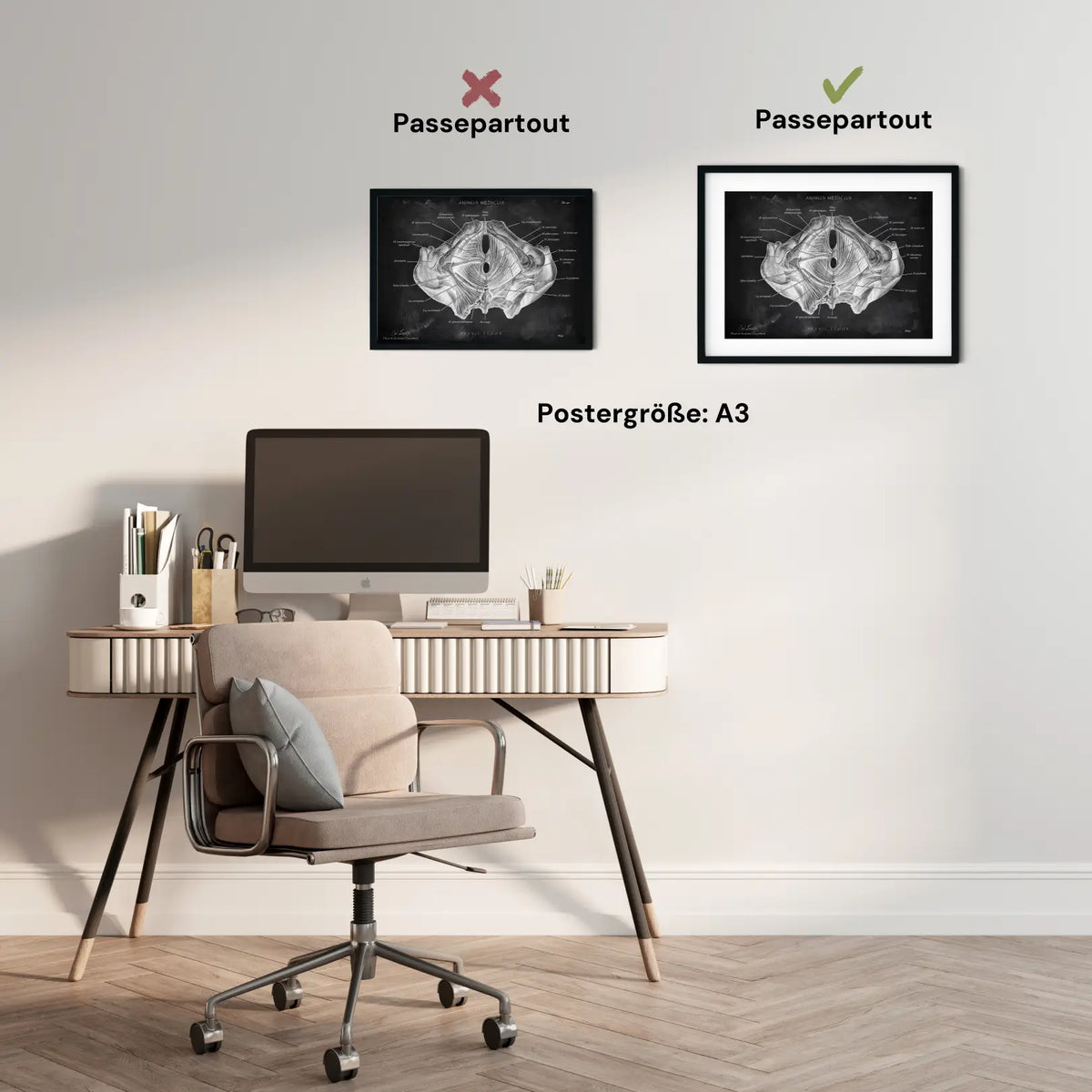 Beckenboden Muskulatur - Chalkboard - Animus Medicus GmbH