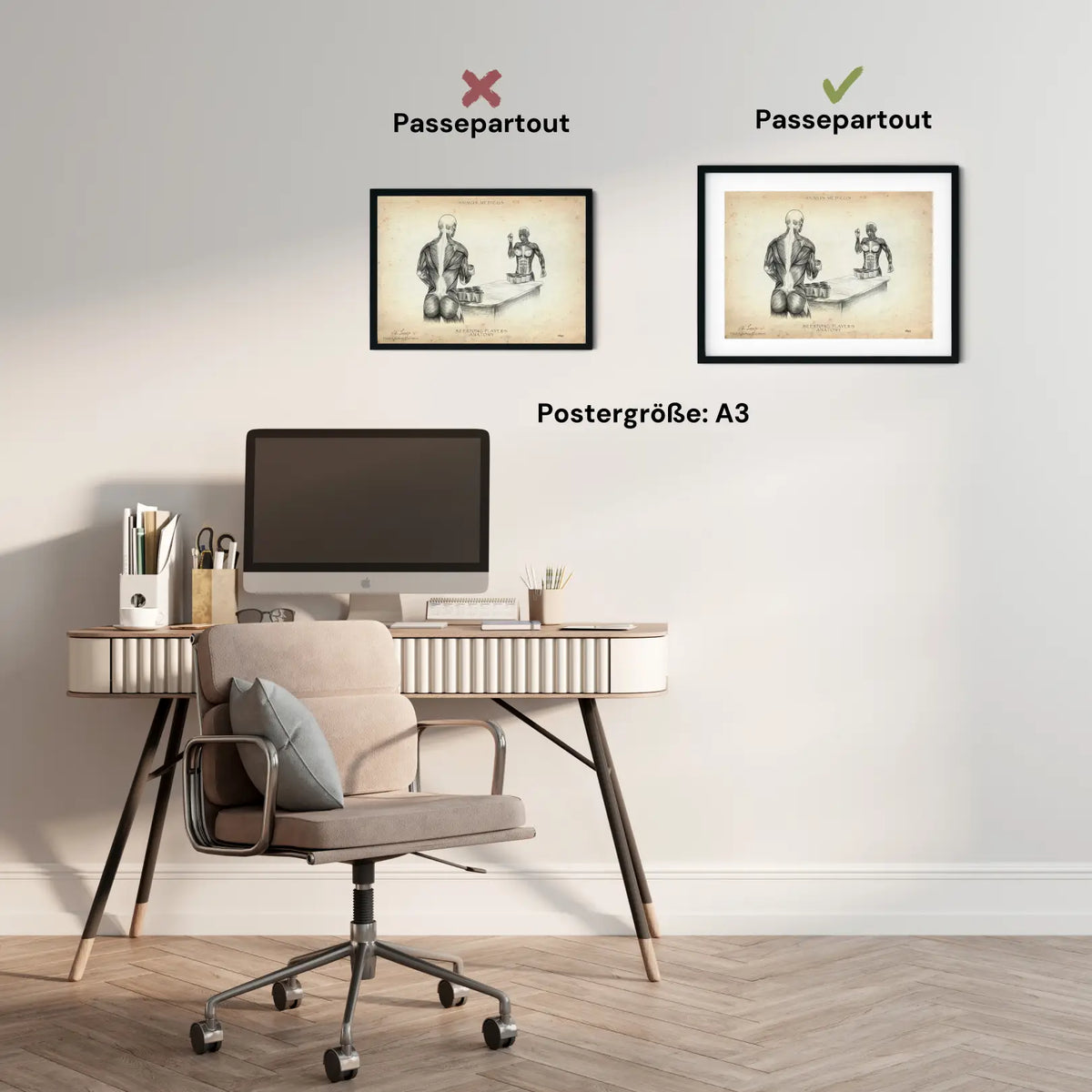 Beerpong Anatomie - Animus Medicus GmbH