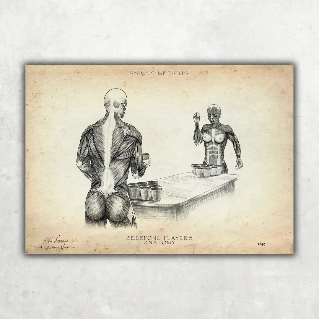 Beerpong Anatomie - Animus Medicus GmbH