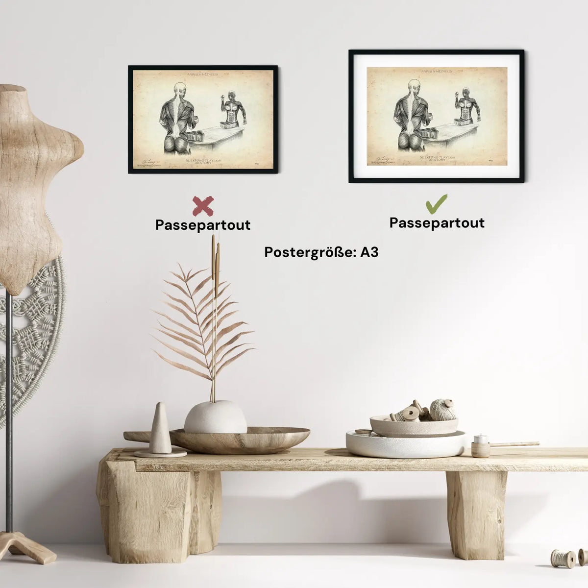 Beerpong Anatomie - Animus Medicus GmbH