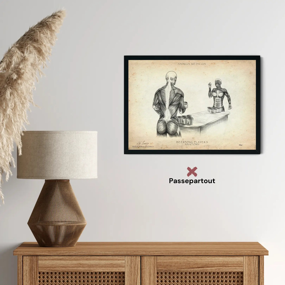 Beerpong Anatomie - Animus Medicus GmbH