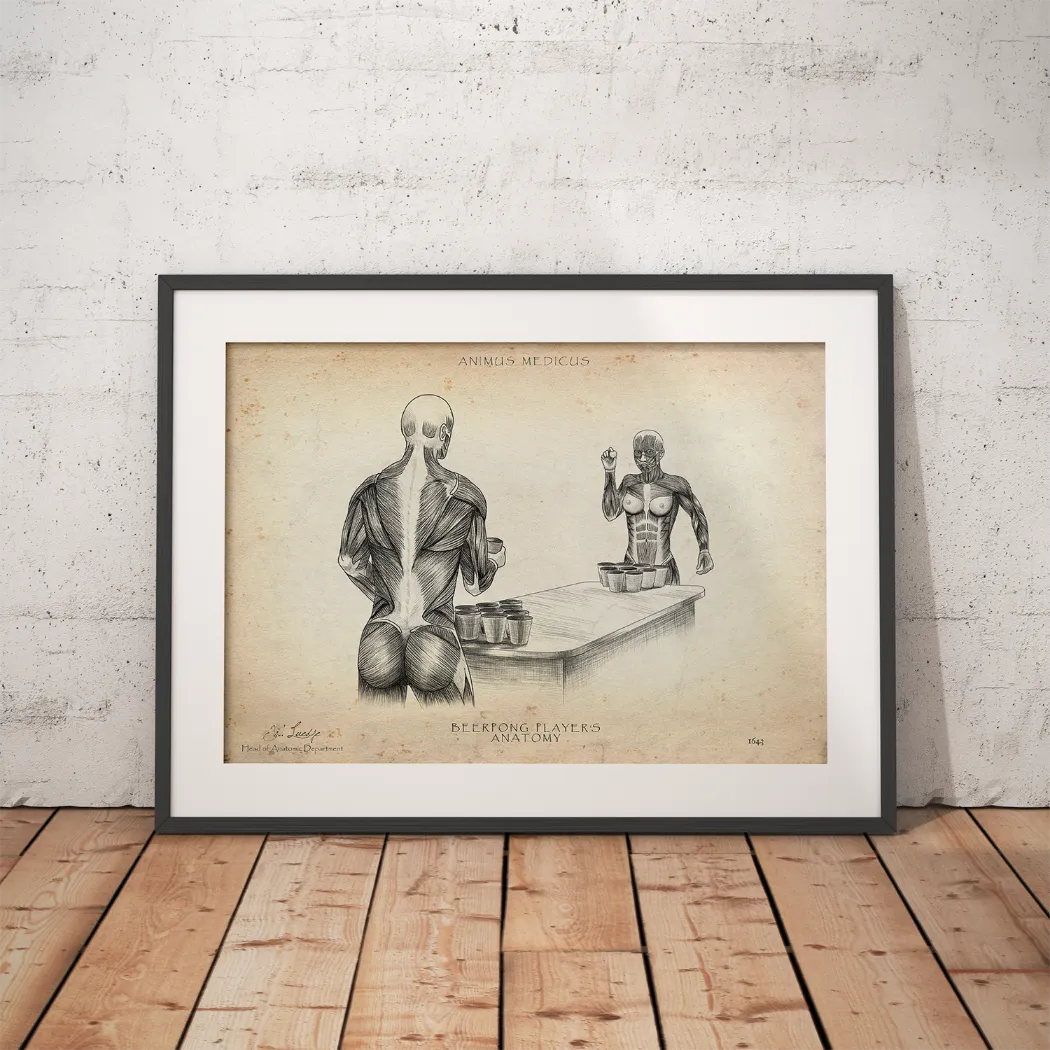 Beerpong Anatomie - Animus Medicus GmbH