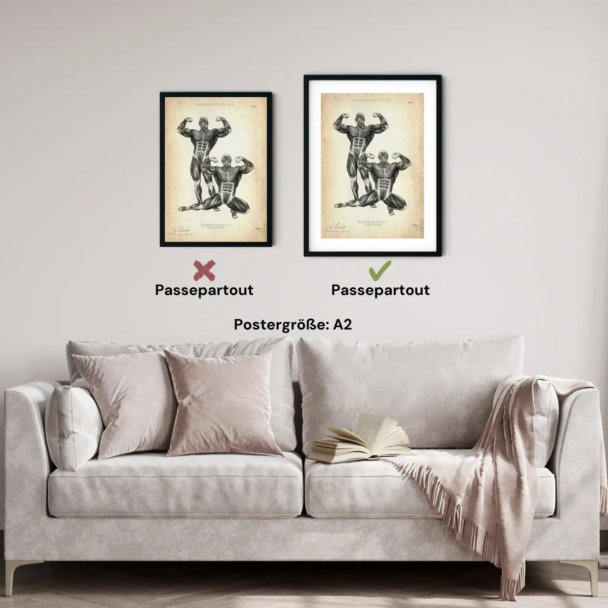 Bodybuilder Anatomie Poster - Animus Medicus GmbH