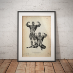 Bodybuilder Anatomie Poster - Animus Medicus GmbH