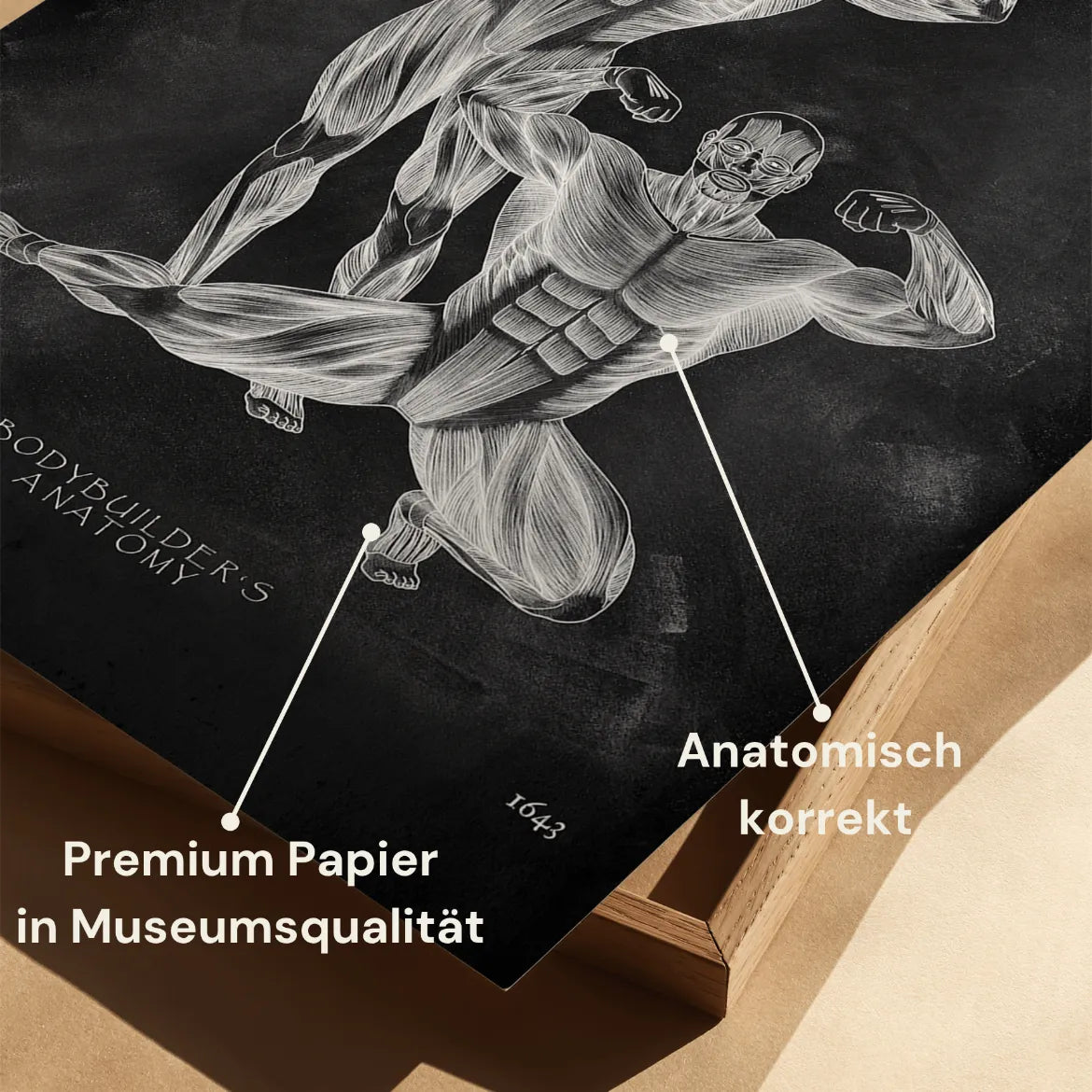 Bodybuilder Anatomie Poster - Chalkboard - Animus Medicus GmbH