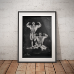 Bodybuilder Anatomie Poster - Chalkboard - Animus Medicus GmbH