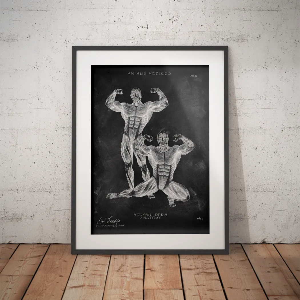 Bodybuilder Anatomie Poster - Chalkboard - Animus Medicus GmbH