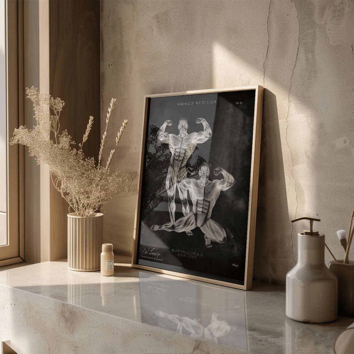 Bodybuilder Anatomie Poster - Chalkboard - Animus Medicus GmbH