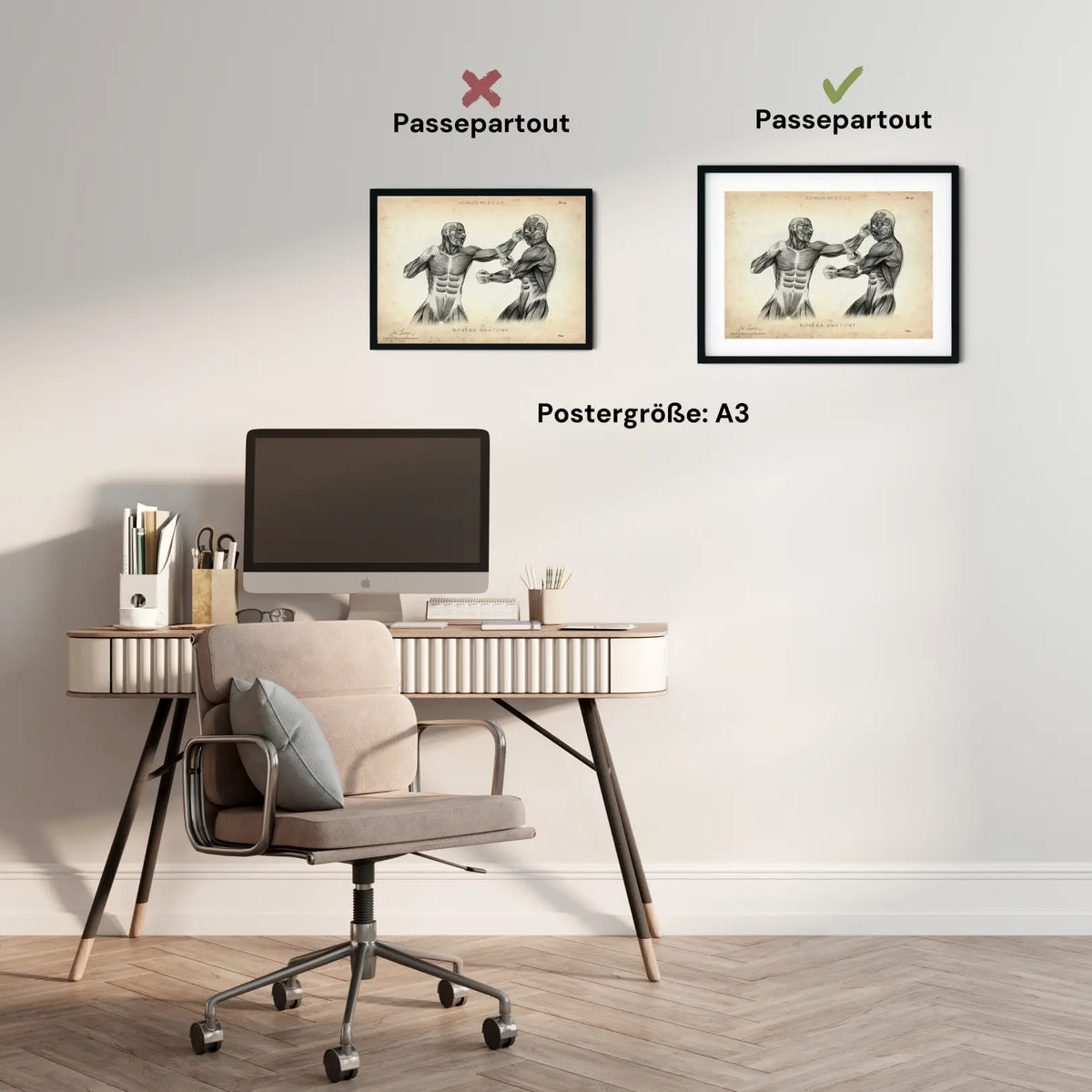 Boxer Anatomie Poster - Animus Medicus GmbH