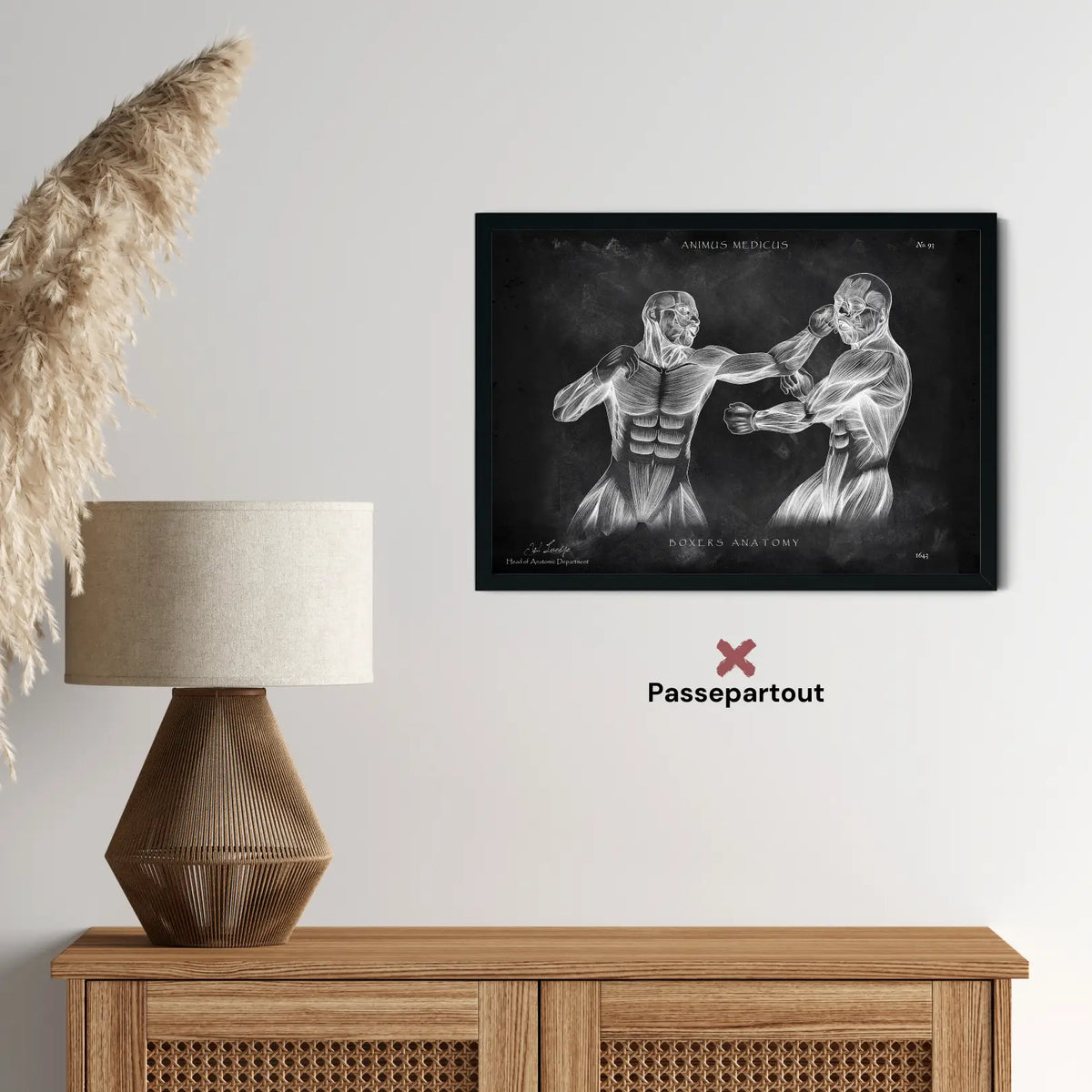 Boxer Anatomie Poster - Chalkboard - Animus Medicus GmbH
