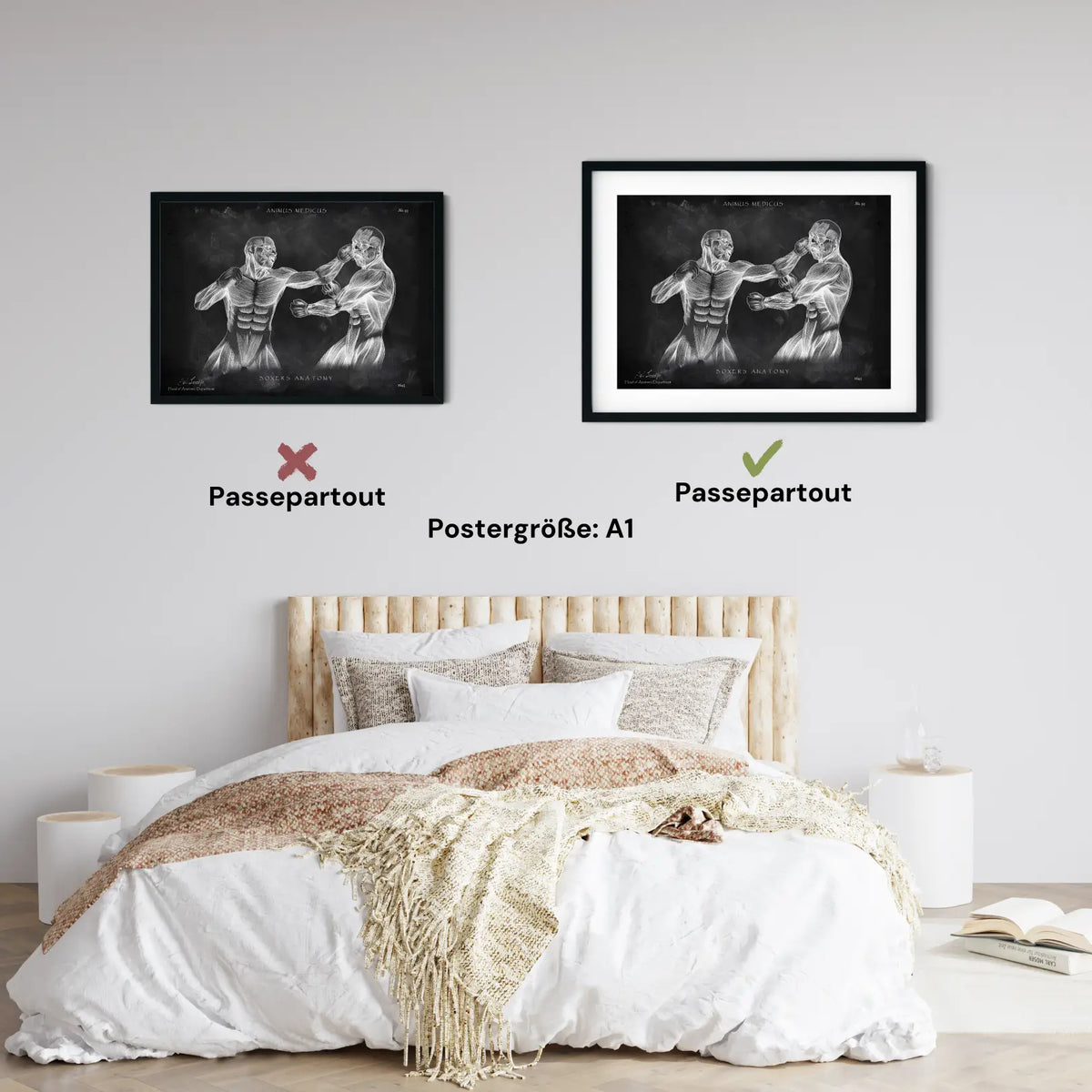 Boxer Anatomie Poster - Chalkboard - Animus Medicus GmbH