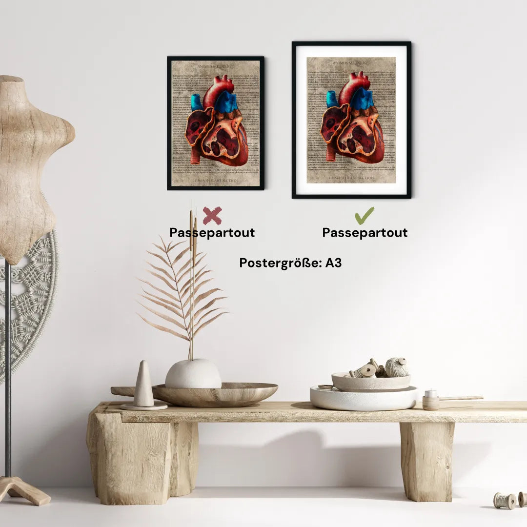 Das Herz - Buchseite - Animus Medicus GmbH