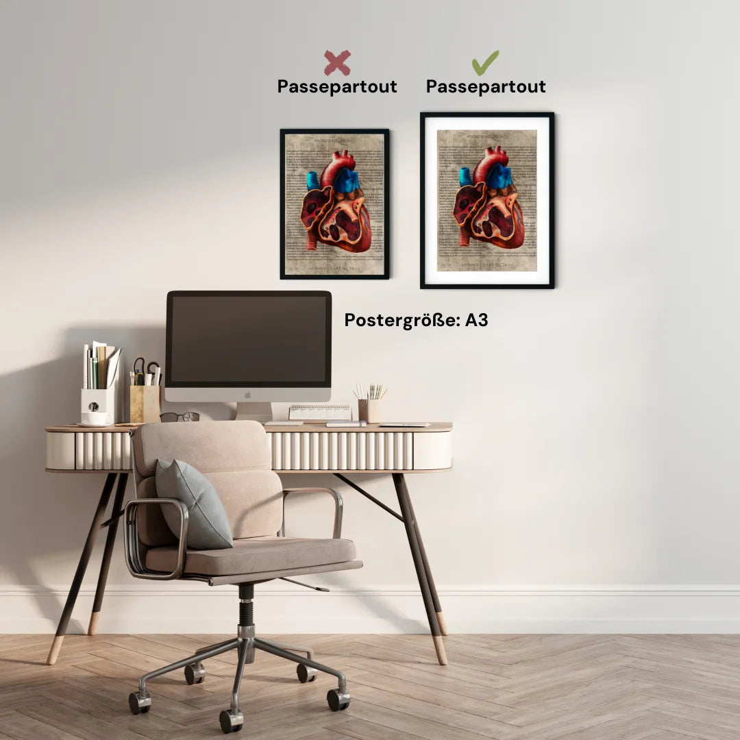 Das Herz - Buchseite - Animus Medicus GmbH