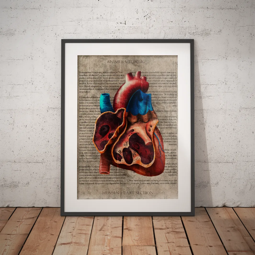 Das Herz - Buchseite - Animus Medicus GmbH