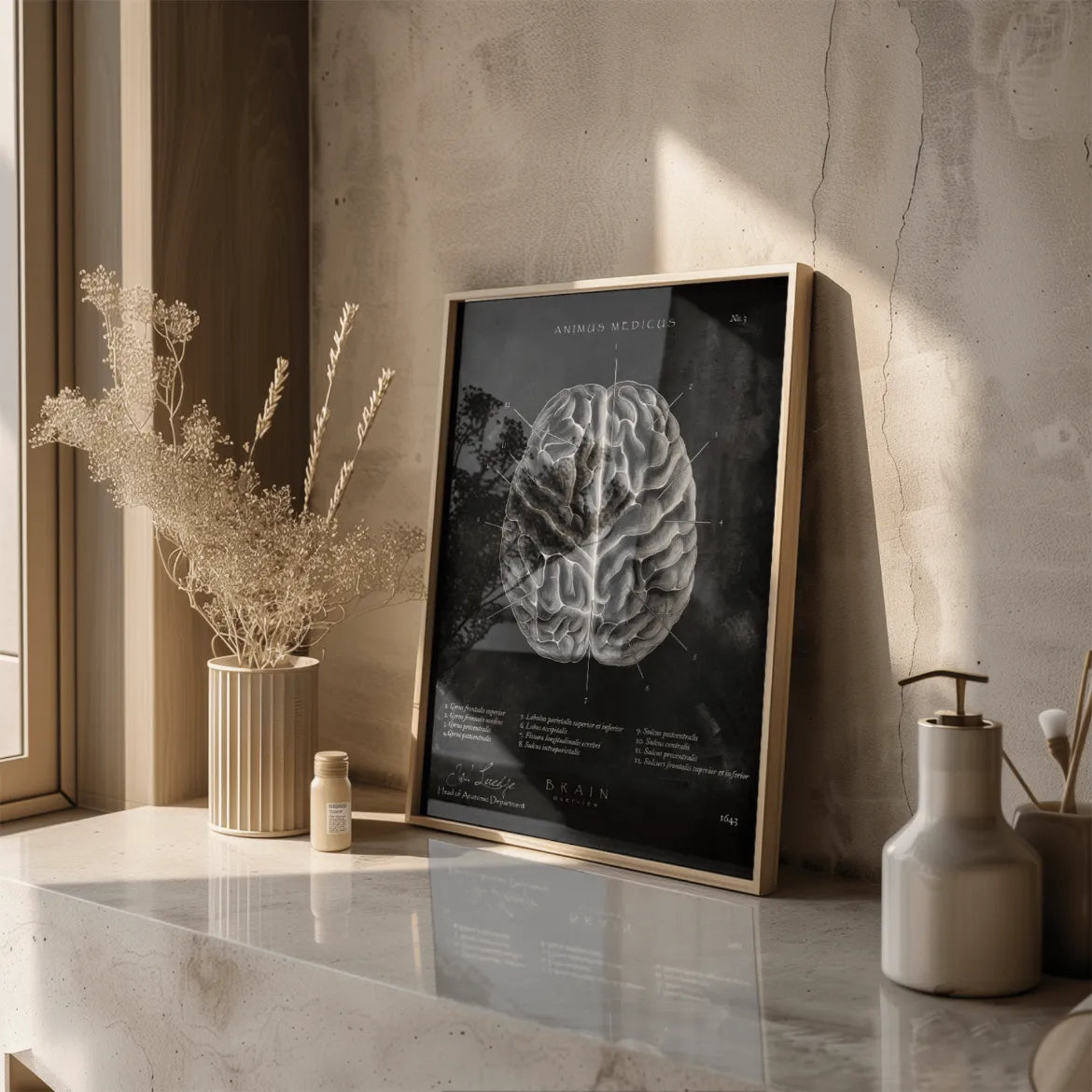 Das menschliche Gehirn - Chalkboard - Animus Medicus GmbH