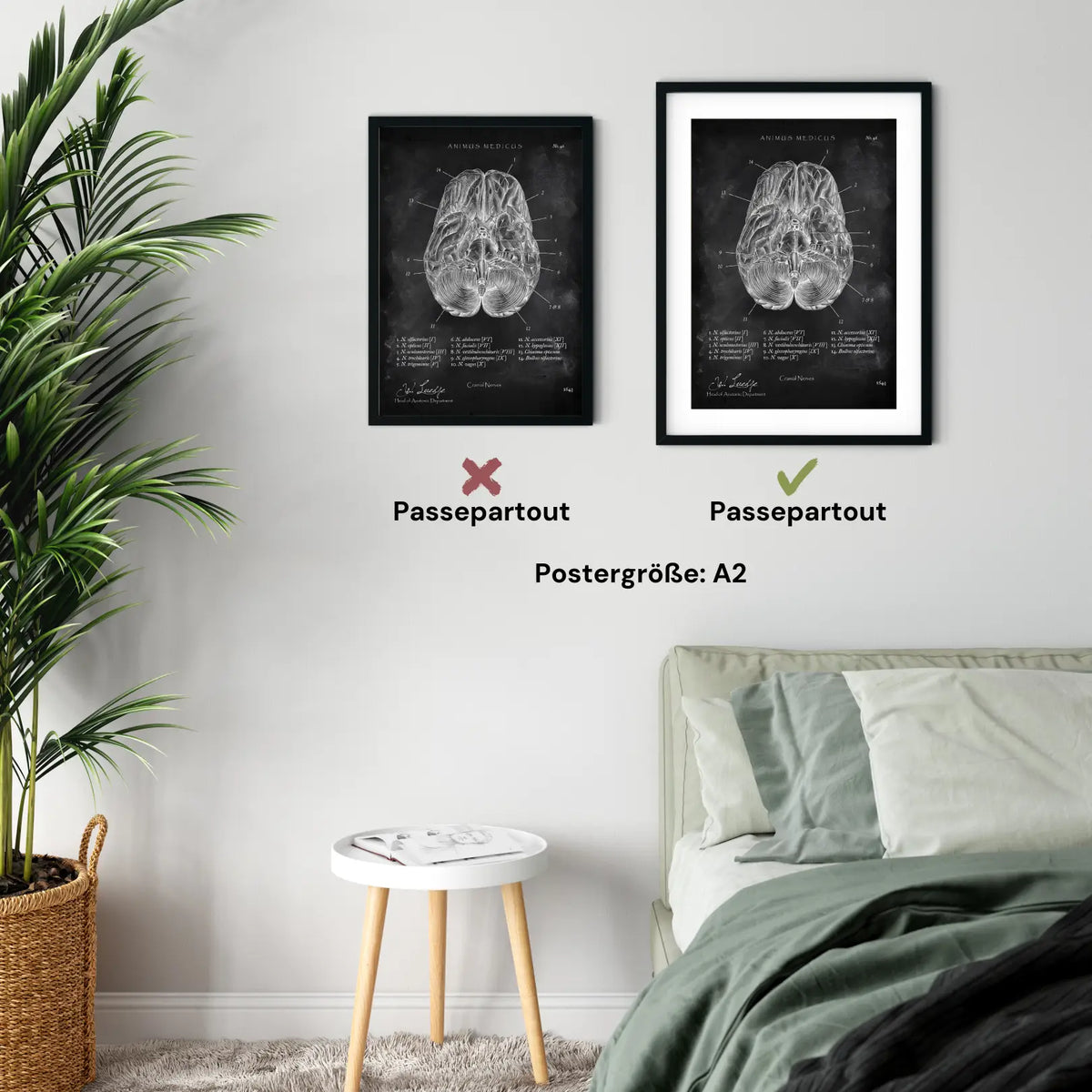 Die 12 Hirnnerven - Chalkboard - Animus Medicus GmbH