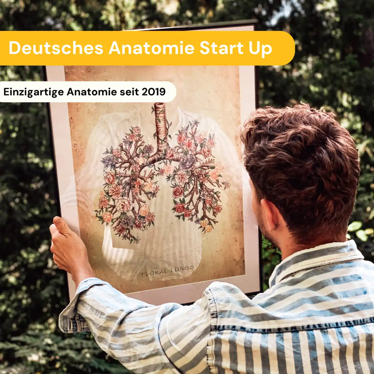 Die Augen Anatomie - Animus Medicus GmbH