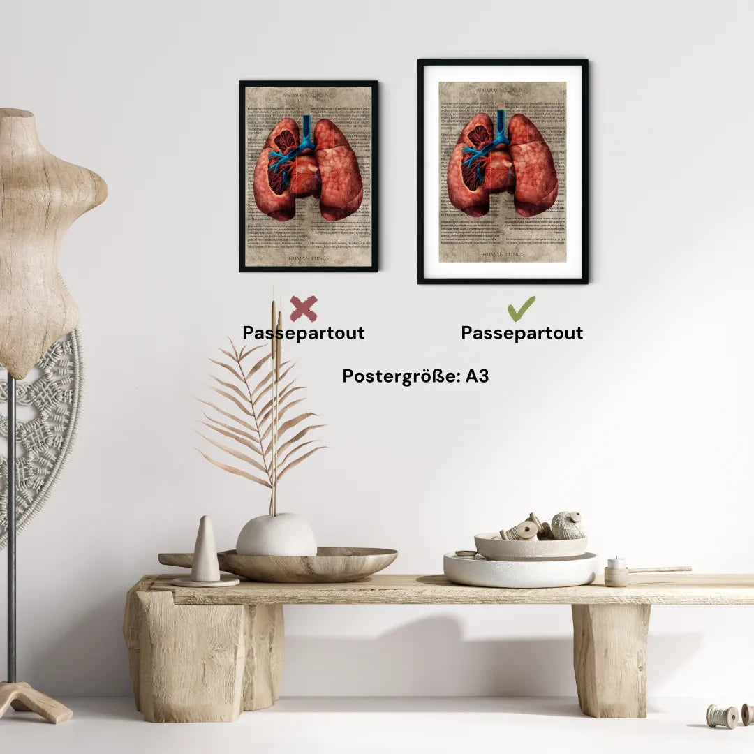 Die Lunge - Buchseite - Animus Medicus GmbH