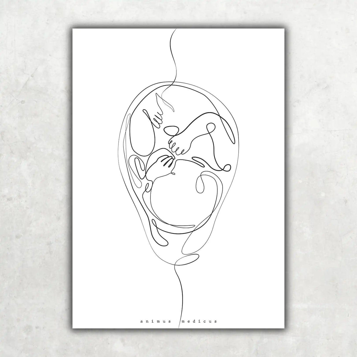 Fetus Anatomie Minimalist - Animus Medicus GmbH