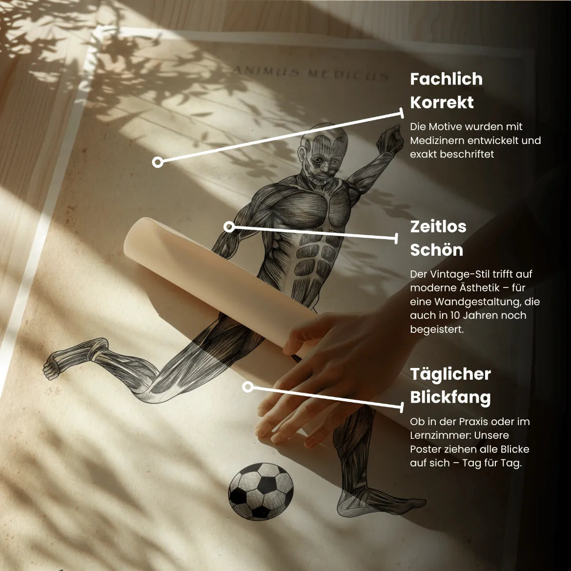 Fußball Anatomie Poster - Animus Medicus GmbH