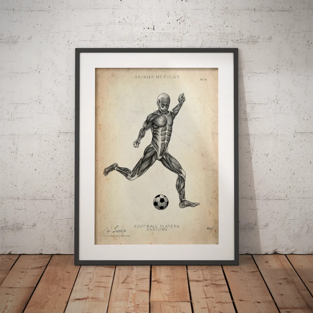 Fußball Anatomie Poster - Animus Medicus GmbH