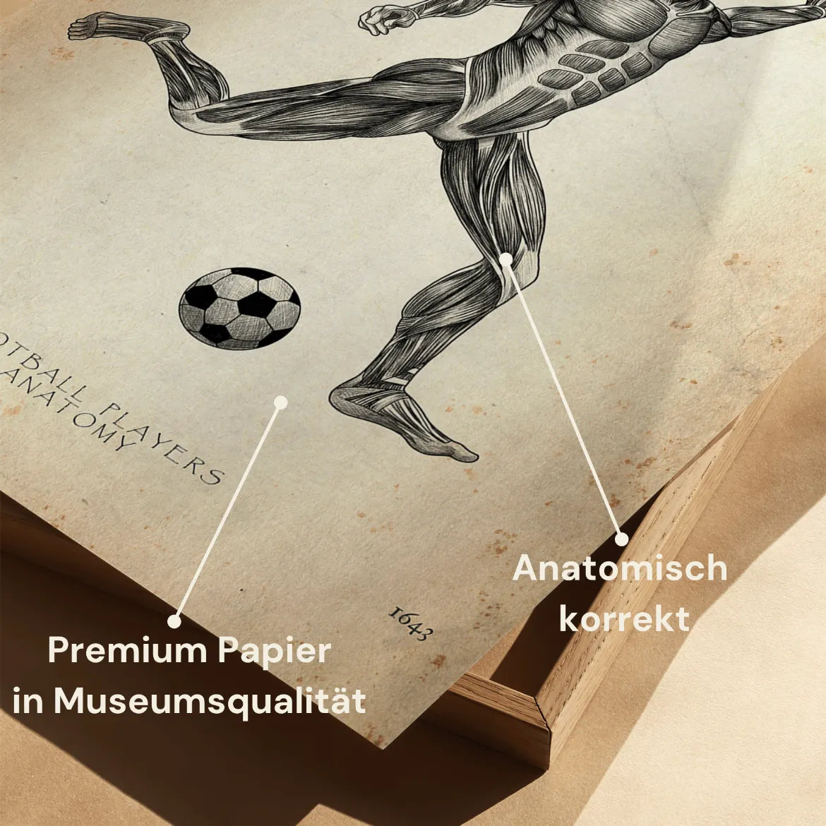 Fußball Anatomie Poster - Animus Medicus GmbH