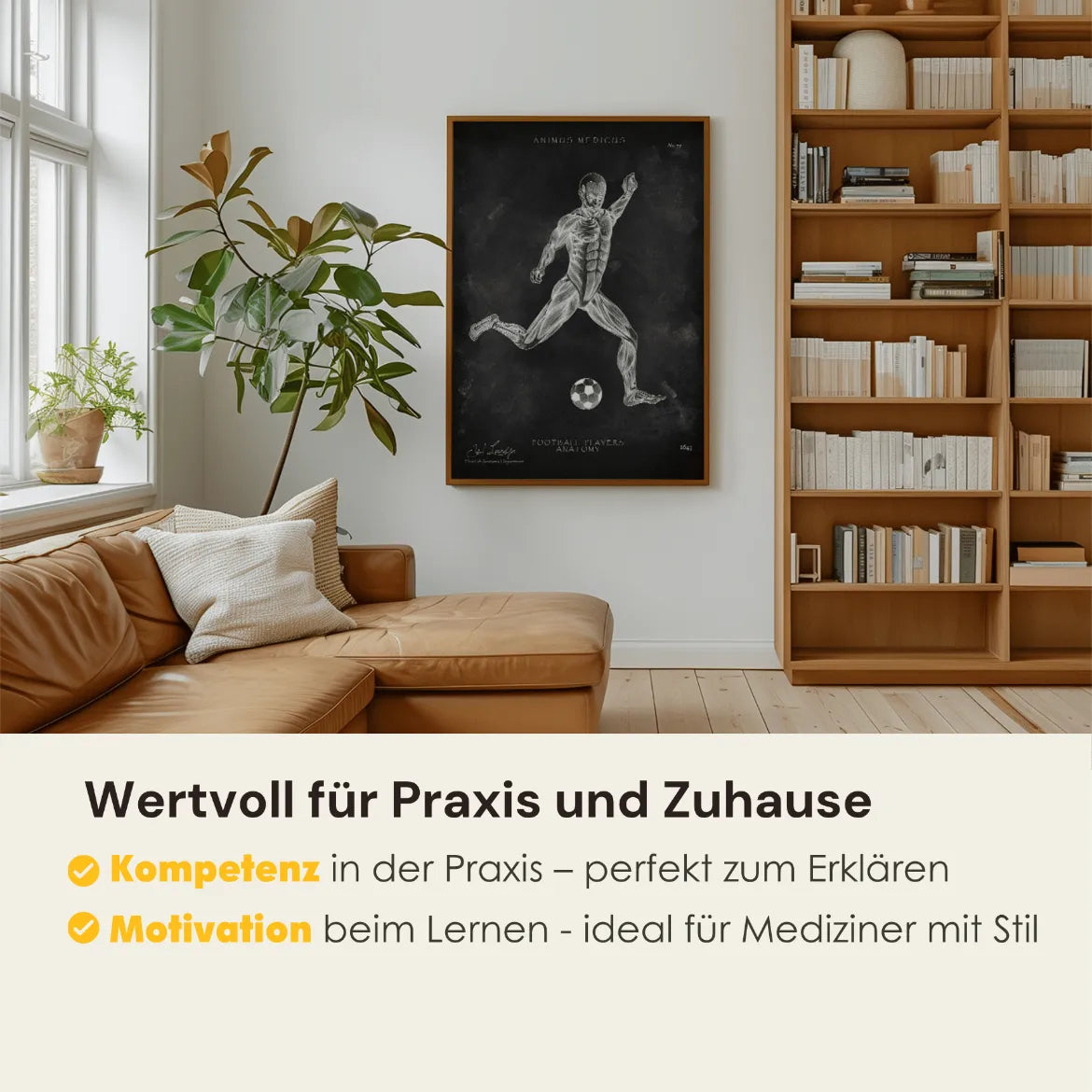 Fußball Anatomie Poster - Chalkboard - Animus Medicus GmbH
